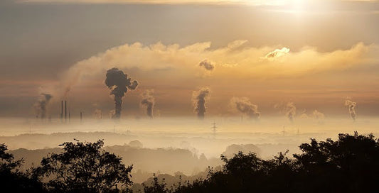Pollution: A Threat to Our Health and the Environment