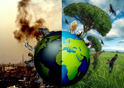 What is happening to our planet?