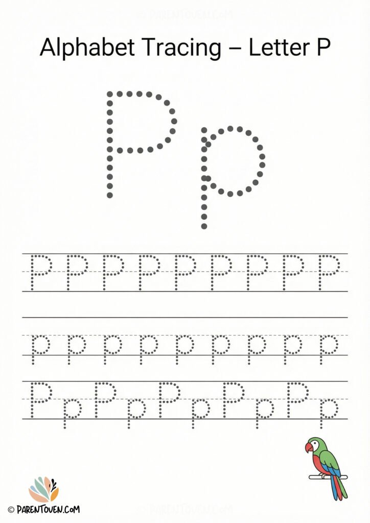 Alphabet tracing worksheet for the letter P with dotted uppercase and lowercase P and a parrot illustration.