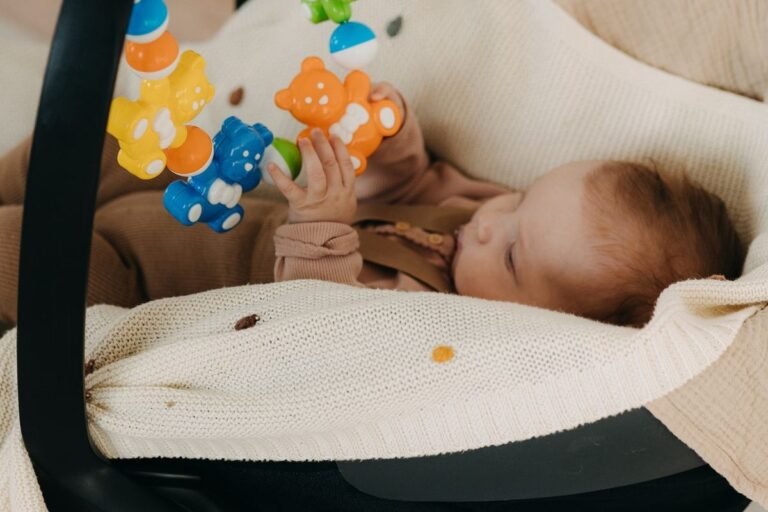 Best Baby Car Seat Toys for Safe, Happy Travel