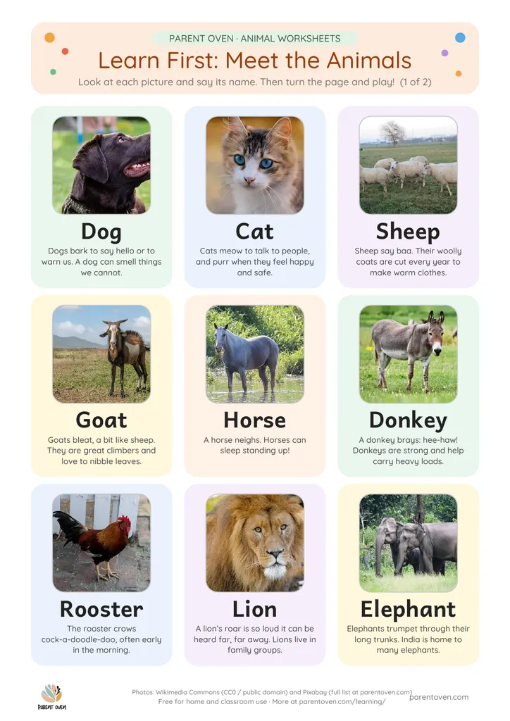 Learn-first animal chart: photos of a dog, cat, sheep, goat, horse, donkey, rooster and lion with their names in big letters