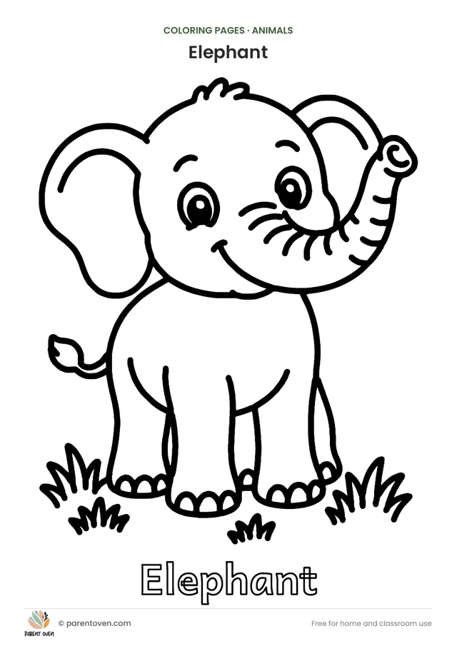 Elephant coloring page