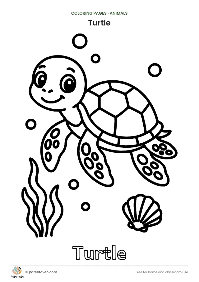 Turtle coloring page