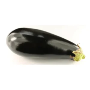 A shiny dark purple brinjal