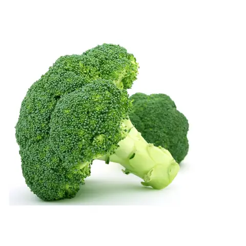 A head of green broccoli