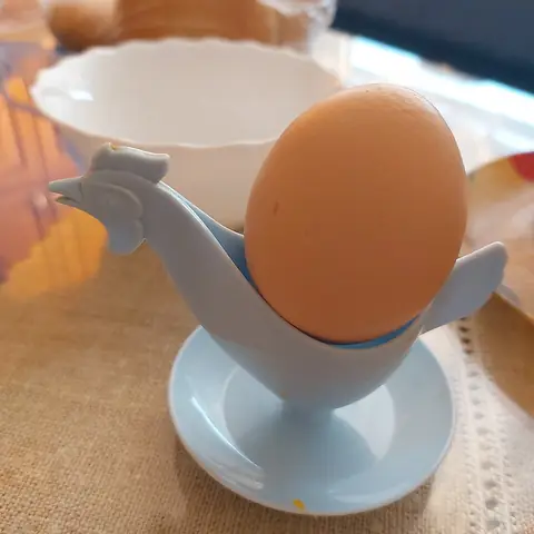 A brown egg in an egg cup