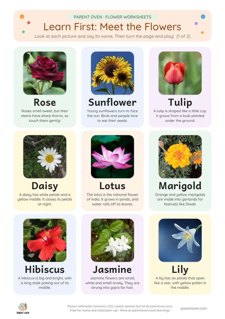 Learn-first flower chart: photos of a rose, sunflower, tulip, daisy, lotus, marigold, hibiscus and jasmine with their names in big letters