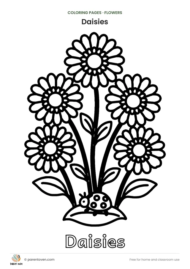 Daisies coloring page