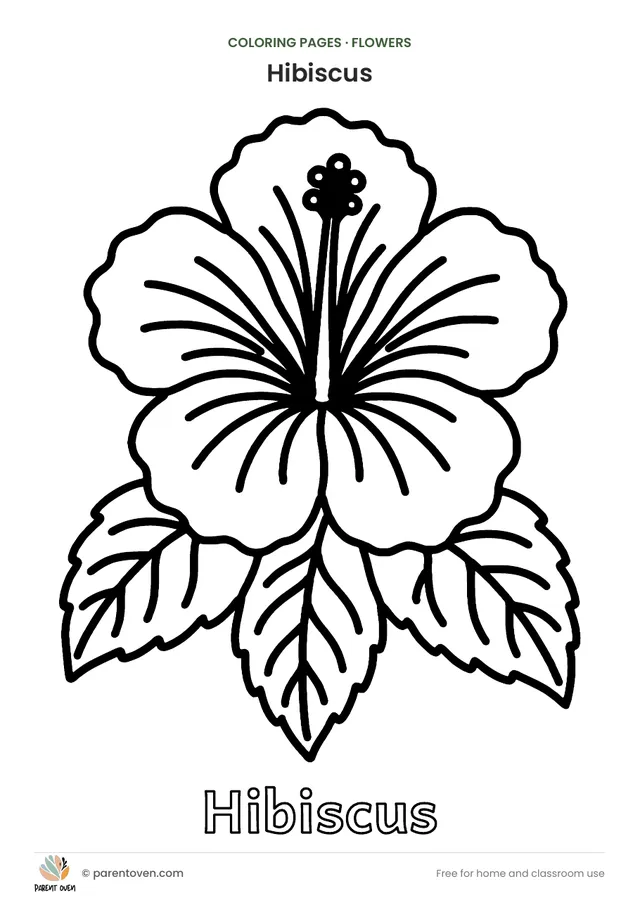Hibiscus coloring page