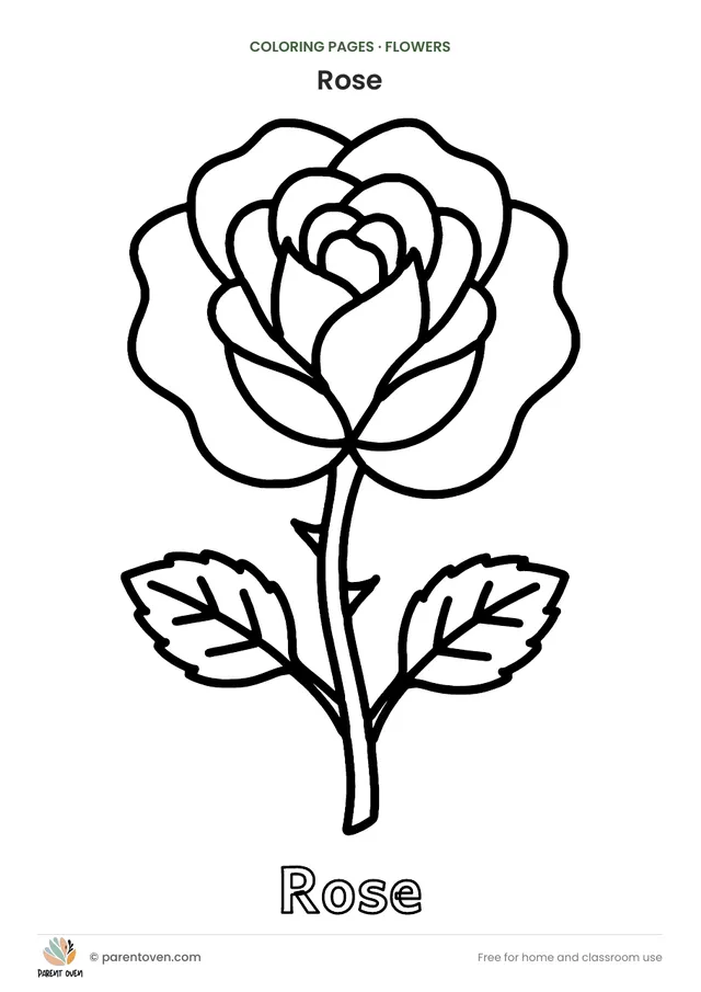 Rose coloring page