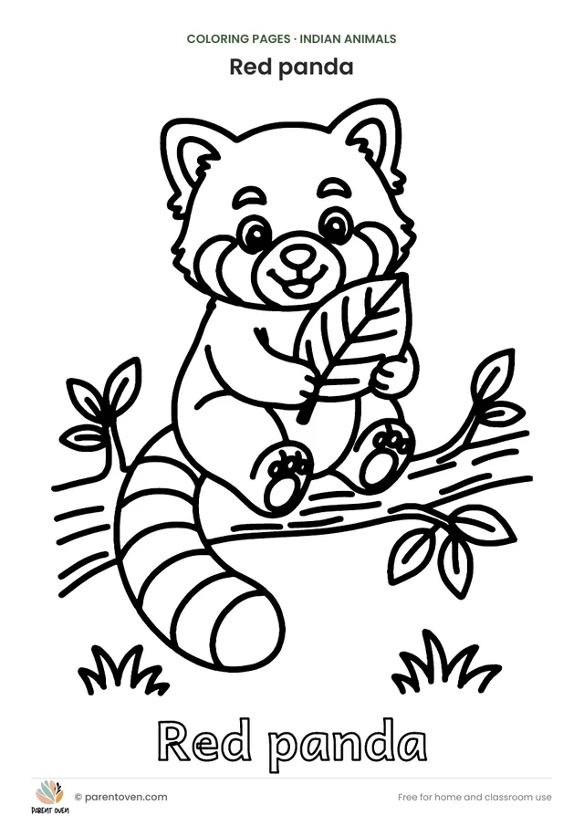 Red panda coloring page