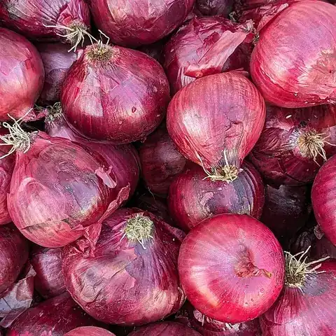 A pile of red onions
