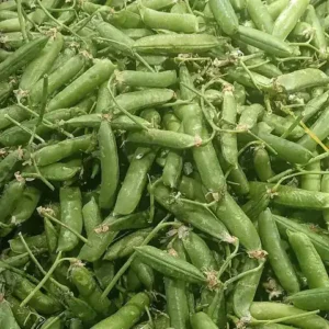 A pile of green pea pods