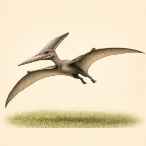 Illustration of a Pteranodon flying with wide wings