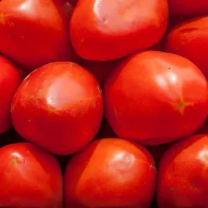 Shiny red tomatoes