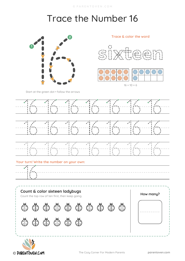 Number 16 tracing worksheet: trace 16 with stroke arrows, trace the word sixteen, two ten frames showing 16, tracing rows and 16 ladybugs to count